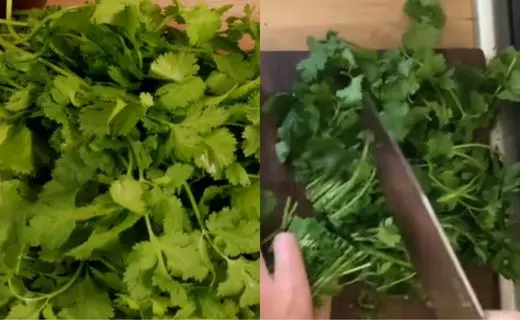 Prepare the cilantro