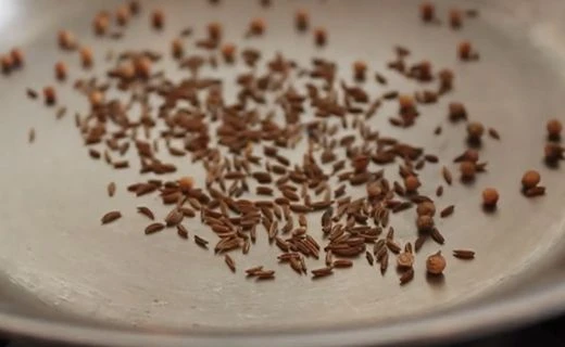 Toast and Grind the Spices