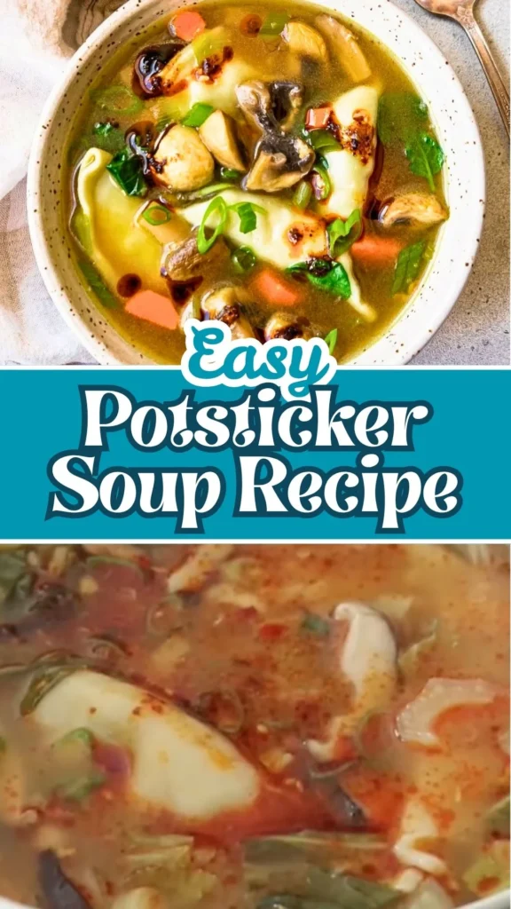 Homemade Potsticker Soup